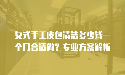 女式手工皮包清洁多少钱一个月合适做？专业方案解析