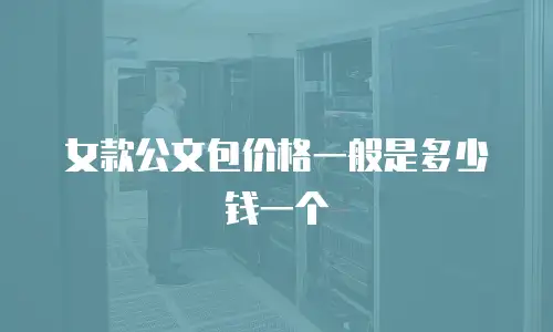 女款公文包价格一般是多少钱一个