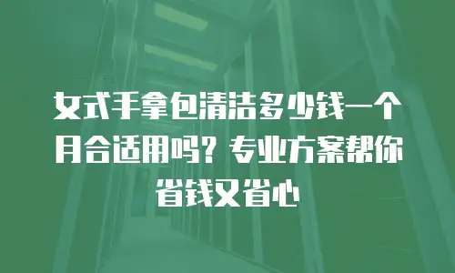 女式手拿包清洁多少钱一个月合适用吗？专业方案帮你省钱又省心