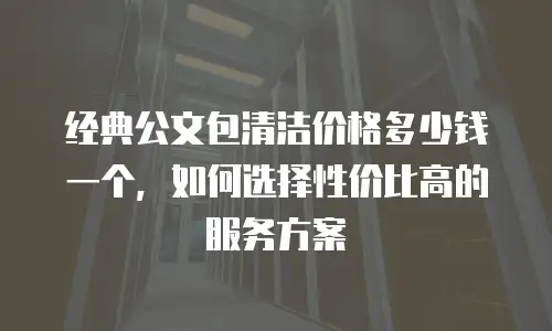 经典公文包清洁价格多少钱一个，如何选择性价比高的服务方案