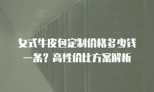 女式牛皮包定制价格多少钱一条？高性价比方案解析