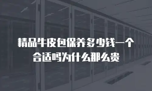 精品牛皮包保养多少钱一个合适吗为什么那么贵