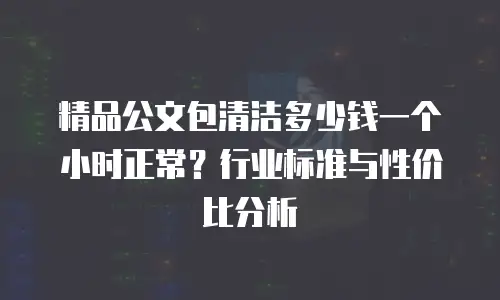 精品公文包清洁多少钱一个小时正常？行业标准与性价比分析