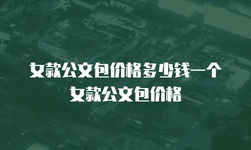 女款公文包价格多少钱一个女款公文包价格