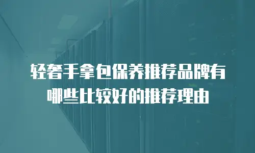 轻奢手拿包保养推荐品牌有哪些比较好的推荐理由