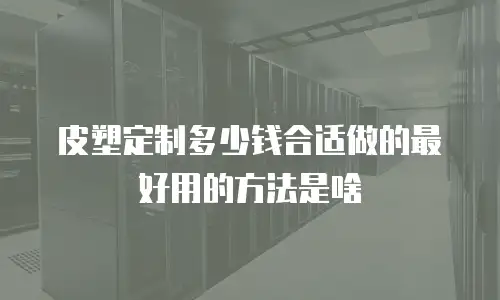 皮塑定制多少钱合适做的最好用的方法是啥