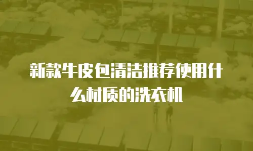 新款牛皮包清洁推荐使用什么材质的洗衣机