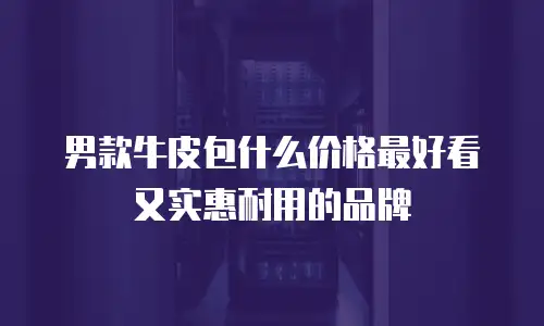 男款牛皮包什么价格最好看又实惠耐用的品牌
