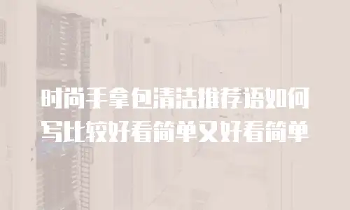 时尚手拿包清洁推荐语如何写比较好看简单又好看简单