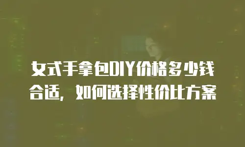 女式手拿包DIY价格多少钱合适，如何选择性价比方案