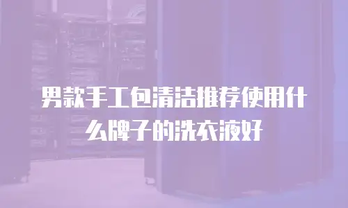 男款手工包清洁推荐使用什么牌子的洗衣液好