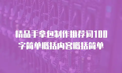 精品手拿包制作推荐词100字简单概括内容概括简单