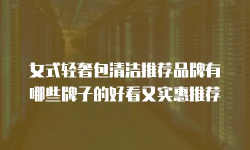 女式轻奢包清洁推荐品牌有哪些牌子的好看又实惠推荐