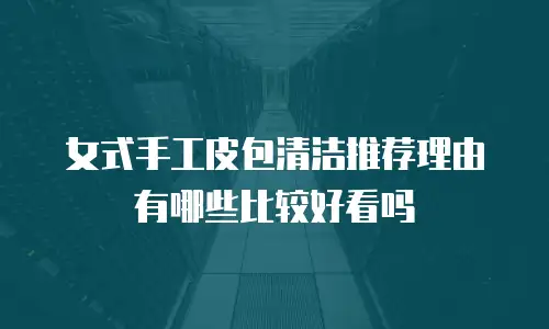 女式手工皮包清洁推荐理由有哪些比较好看吗