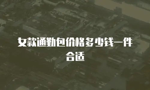 女款通勤包价格多少钱一件合适