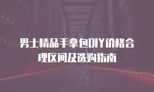 男士精品手拿包DIY价格合理区间及选购指南