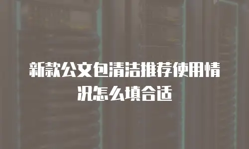 新款公文包清洁推荐使用情况怎么填合适