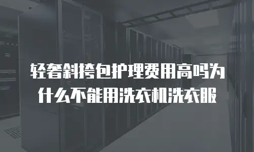 轻奢斜挎包护理费用高吗为什么不能用洗衣机洗衣服