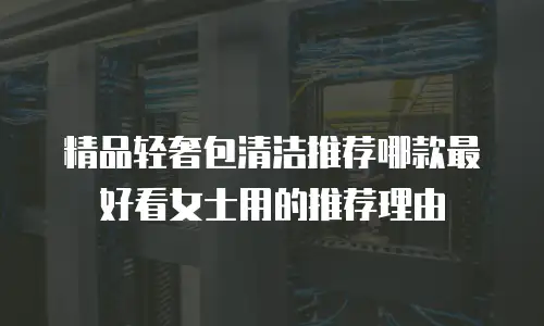 精品轻奢包清洁推荐哪款最好看女士用的推荐理由