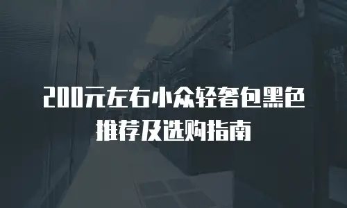 200元左右小众轻奢包黑色推荐及选购指南
