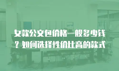 女款公文包价格一般多少钱？如何选择性价比高的款式