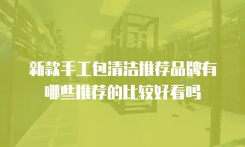 新款手工包清洁推荐品牌有哪些推荐的比较好看吗