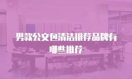 男款公文包清洁推荐品牌有哪些推荐