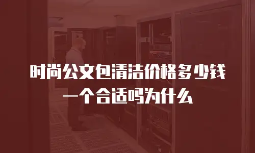 时尚公文包清洁价格多少钱一个合适吗为什么