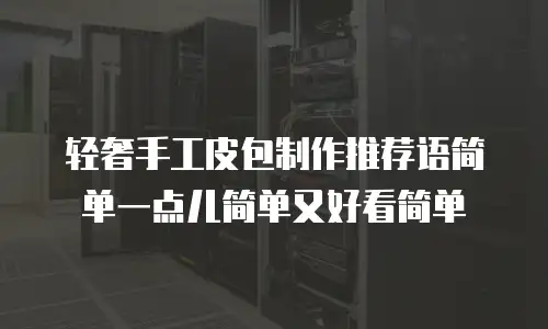 轻奢手工皮包制作推荐语简单一点儿简单又好看简单