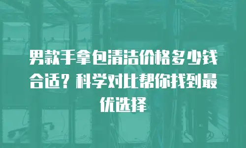 男款手拿包清洁价格多少钱合适？科学对比帮你找到最优选择