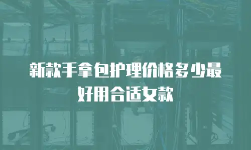 新款手拿包护理价格多少最好用合适女款