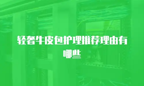 轻奢牛皮包护理推荐理由有哪些