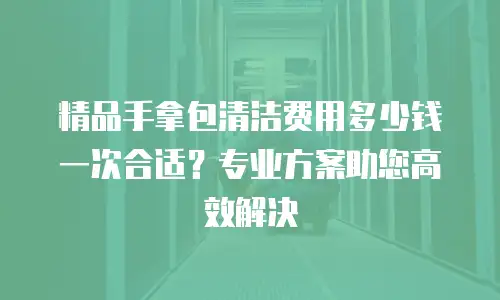 精品手拿包清洁费用多少钱一次合适？专业方案助您高效解决