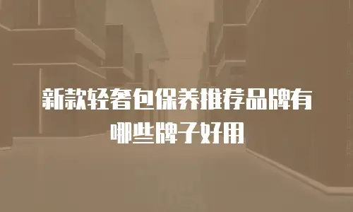 新款轻奢包保养推荐品牌有哪些牌子好用