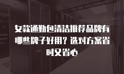 女款通勤包清洁推荐品牌有哪些牌子好用？选对方案省时又省心
