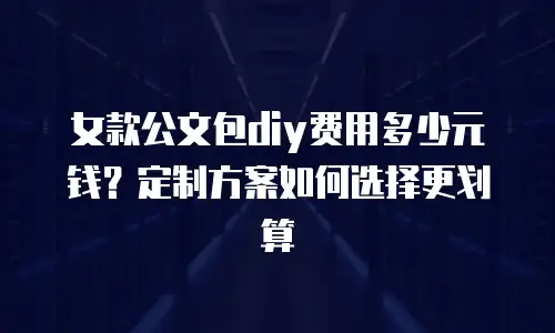女款公文包diy费用多少元钱？定制方案如何选择更划算