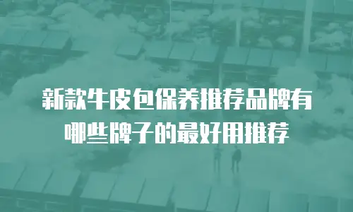 新款牛皮包保养推荐品牌有哪些牌子的最好用推荐