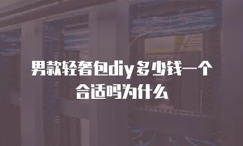 男款轻奢包diy多少钱一个合适吗为什么