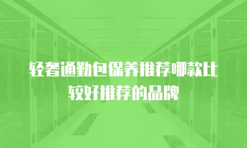 轻奢通勤包保养推荐哪款比较好推荐的品牌