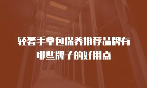 轻奢手拿包保养推荐品牌有哪些牌子的好用点