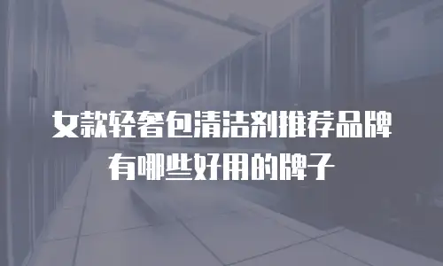女款轻奢包清洁剂推荐品牌有哪些好用的牌子