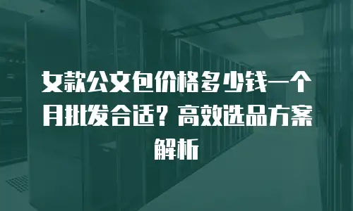 女款公文包价格多少钱一个月批发合适？高效选品方案解析
