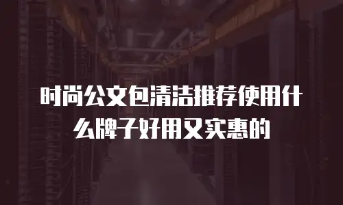 时尚公文包清洁推荐使用什么牌子好用又实惠的