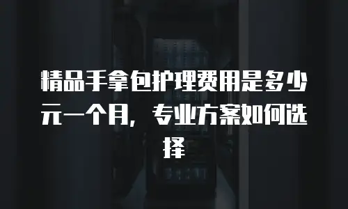 精品手拿包护理费用是多少元一个月，专业方案如何选择