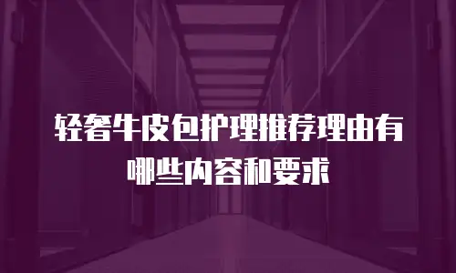 轻奢牛皮包护理推荐理由有哪些内容和要求