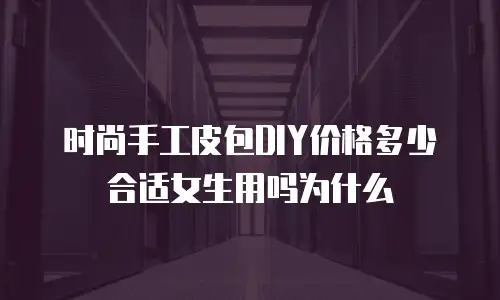 时尚手工皮包DIY价格多少合适女生用吗为什么