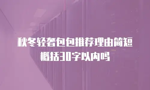 秋冬轻奢包包推荐理由简短概括30字以内吗