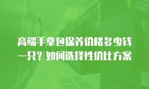高端手拿包保养价格多少钱一只？如何选择性价比方案