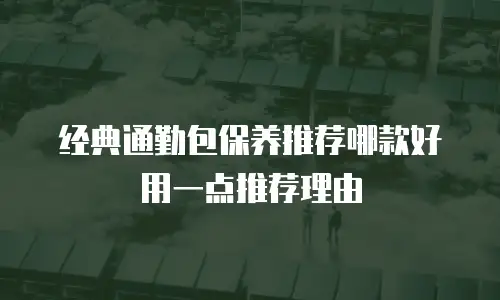 经典通勤包保养推荐哪款好用一点推荐理由