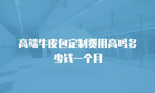 高端牛皮包定制费用高吗多少钱一个月